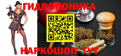 гидропоника Краснознаменск