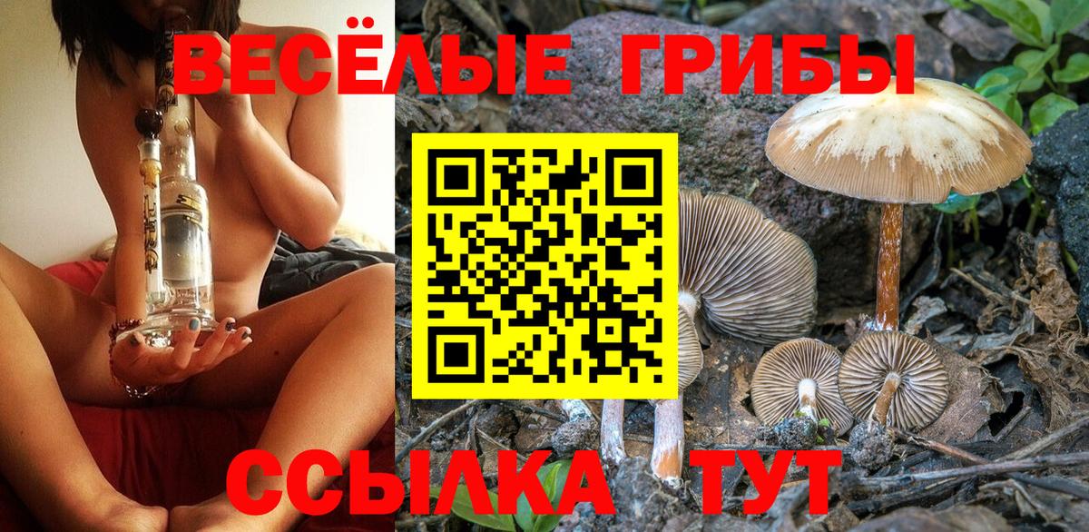 Карпинск  Псилоцибиновые грибы прущие грибы  Вход с VPN  Псилоцибиновые грибы мицелий 